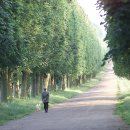 테마로 읽는 역사 이미지