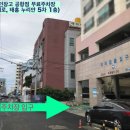 [ 제주와인샵 와인창고 - 일본 사케 / 다카라 시마네 샤인머스캣 / 제주최대규모와인샵 와인창고 ]