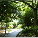 오동도로 이미지