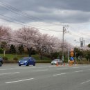 낙동제방 서부주유소 맞은편 이미지