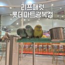 리프패럿 롯데마트 광복점 이미지