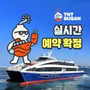 호  덕 | 대마도(쓰시마섬) 들어가는 방법 총정리(🚢🛳️⛴️, 씨플라워호 탑승 후기, 부산역에서 부산항 가는 방법)