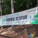 하루챙김 | 2026 6월 마음챙김 걷기대회 후기｜보훈둘레길에서 함께한 치유의 시간