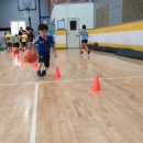 고려중앙태권도장 이미지