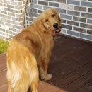 용마동물병원 이미지