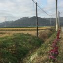 오금2리 이미지