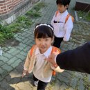 이재네신발
