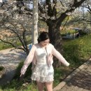 The따이소PC | ꒰ঌ 2025년 연말결산 上 -패션편 ໒꒱(클리시어/더티스/벨리아르/쓰리타임즈/omomo)