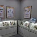 대전엔도내과의원 이미지