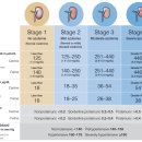 미사 센트럴 동물병원 이미지