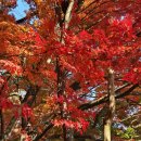 폰땅폰땅공인중개사사무소 | AI 중개업무 선진화, 공인중개사를 위한 디스코(DISCO) 앱 200% 활용 가이드