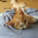 삼척동물병원 이미지