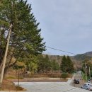 부산 해운대구 아이랑 가볼만한 곳 숲속 놀이터 "반송공원"