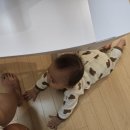 (주)기고 | 육아일기 : 생후 243일차, 이젠 배밀이 마스터! + 기고 서요!