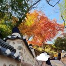 범어사지하철역 1 | 부산 단풍 명소 범어사｜500년 은행나무와 돌담길 가을 풍경