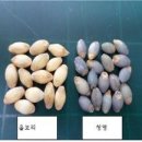 청명개발 이미지