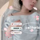 방배로35길 37-2_ | [동작역] 셀포랩 인바디 수치 변화! 누워서 30분 만에 3시간 운동 효과 본 후기