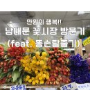 대박시장 안 화장실 | 이만큼에 만원?! 남대문 꽃시장 가성비 대박(고양이 백합주의!!)