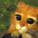 장화신은고양이 이미지