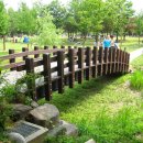 양지할머니 이미지