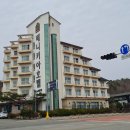 베니키아 호텔 산과바다 양양 이미지