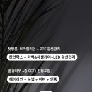 프린제이