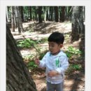 (주)오월에숲 이미지