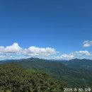 샤모니 Daum카페
