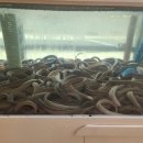 기장산꼼장어 이미지