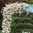 청곡농장 이미지