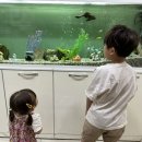 삼성연합소아청소년과의원 이미지