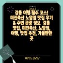 미진축산강릉노암점