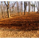 단비농장 이미지