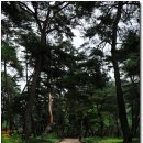 학사3리 | [영주]우리나라 서원의 효시이자 최초의 사액서원인 소수서원 1 - 진입영역