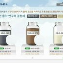 미르팜