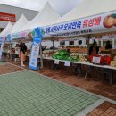 유성구 대전광역시 농업기술센타 대전일보
