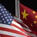 이조자원 이미지