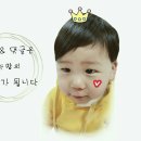 코코제인 이미지