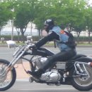 드비취이 이미지