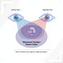 글라스 월드(광주 태전점) | [글라스월드 광주태전점] 눈은 하나? 아니죠, 둘! 왜 양안시 검사가 중요할까요?