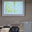 마음다독이는 독서심리치료 | [성서도서관] 마음 다독이는 독서 심리치료