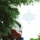 인성관 화장실 네이버블로그