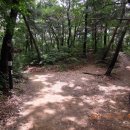 대광사.구미중학교 이미지