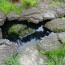 바리스테이 이미지