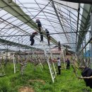 강수농장 이미지