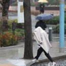 (주)호텔롯데 롯데호텔제주 이미지
