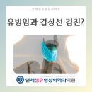연세샘유영상의학과의원 이미지