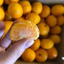 에이치팜 이미지