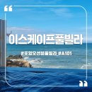 대정오션뷰풀빌라 | 포항 이스케이프풀빌라 A101 오션뷰풀빌라 후기