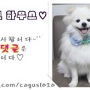 시티칸호프 이미지